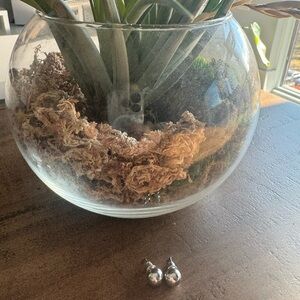 ✨Silver Ball Stud Earrings✨